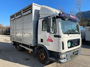 MAN TGL 12.220  dyretransport lastebil