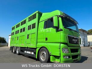 MAN TGX 26.480  hestebil