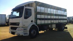DAF LF55 250 dyretransport lastebil