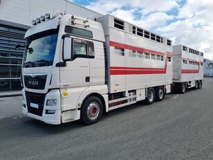 MAN TGX 26.560 dyretransport lastebil + livdyrhenger
