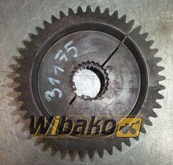 (24/50/175) clutch